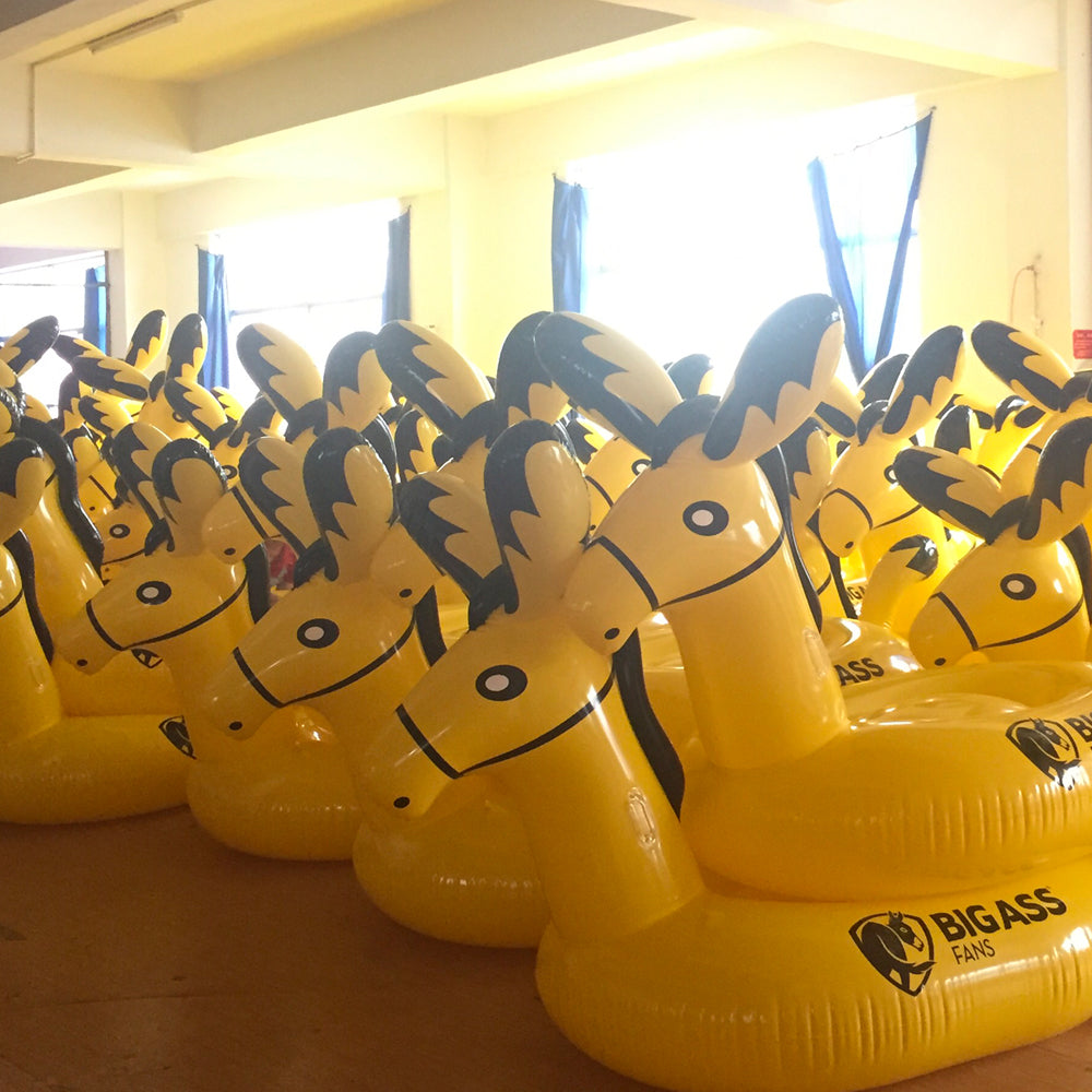 big ass fans pool floaties