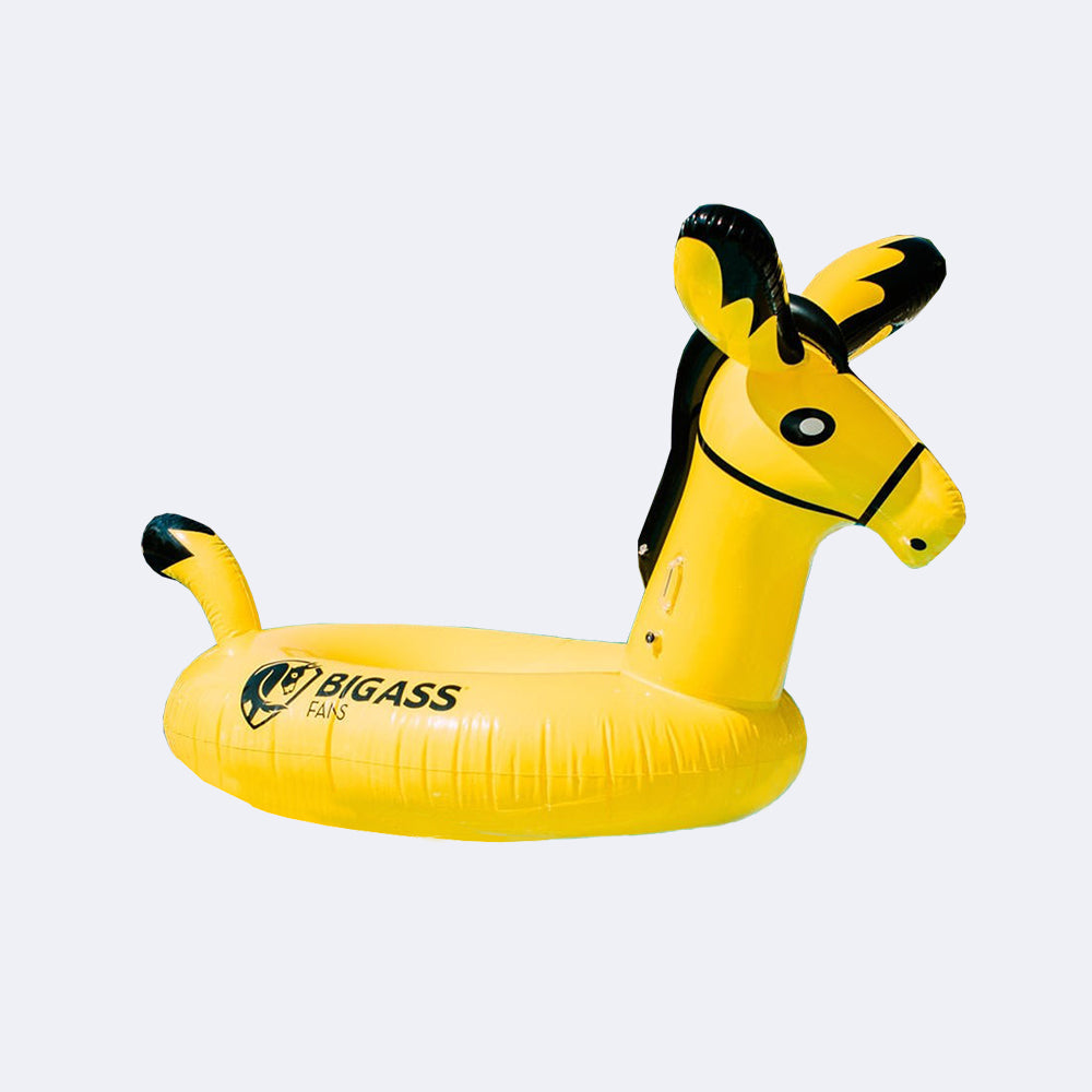 Donkey hot sale pool float